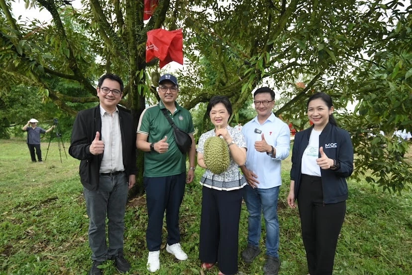 กรมส่งเสริมการค้าระหว่างประเทศ ลุยปั้นผลไม้ไทยไปเวทีโลก