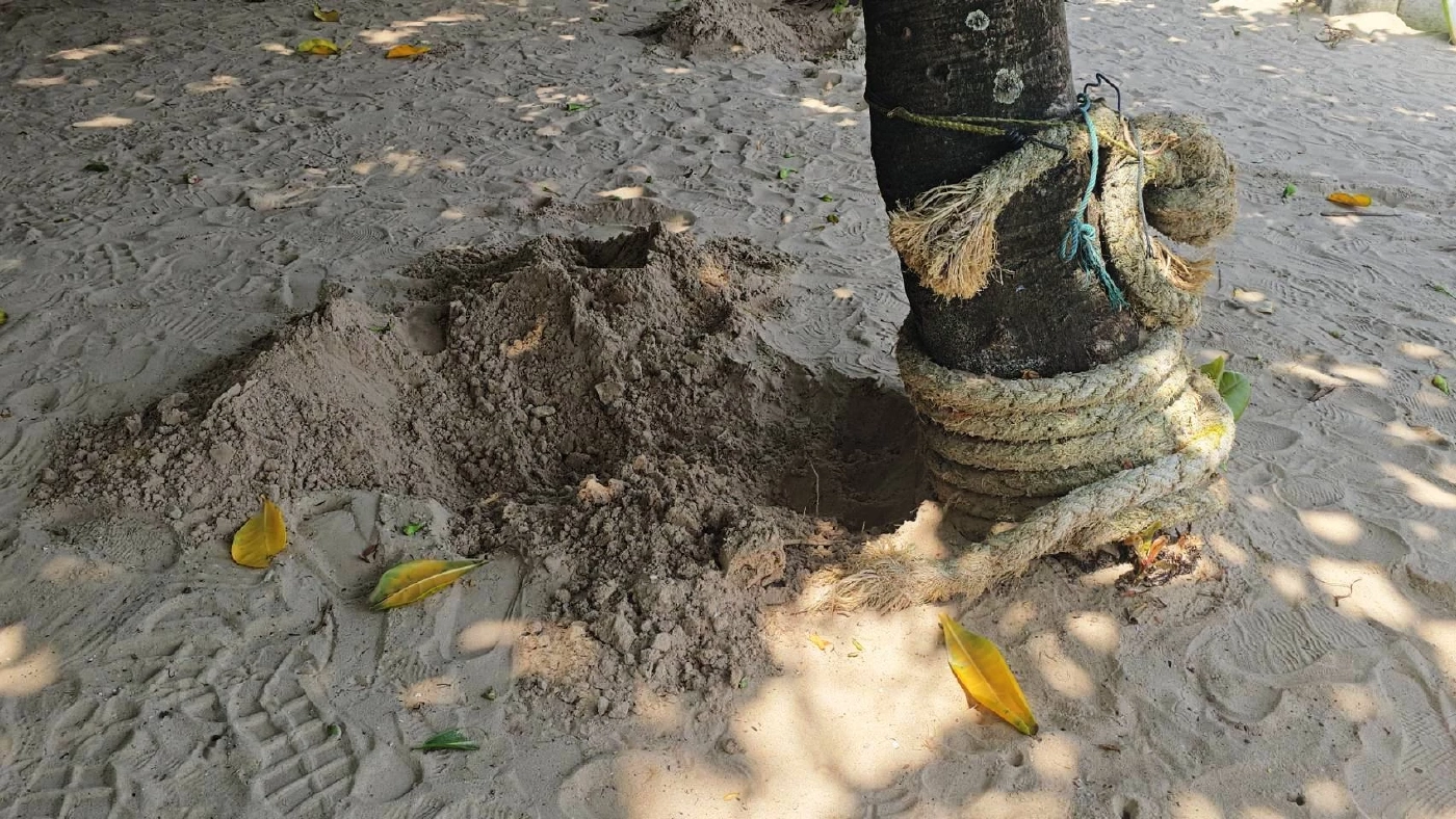 ระทึก! ซุก "ระเบิด" แหลมพรหมเทพ-หาดป่าตอง จ.ภูเก็ต และที่ จ.กระบี่ อีก 1 จุด