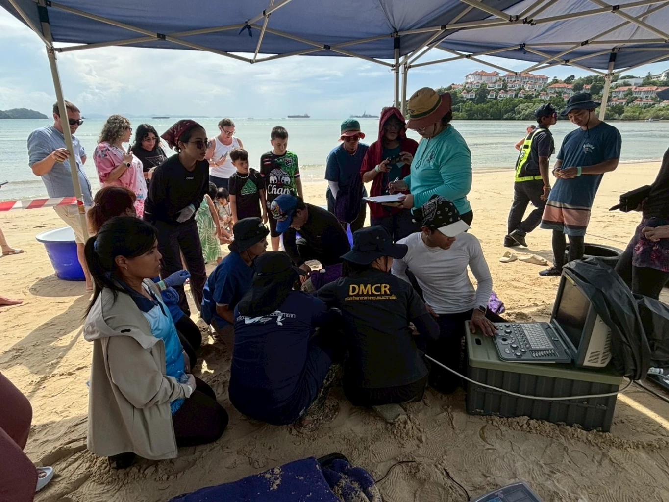 กรมทะเล ร่วมเครือข่ายอนุรักษ์ ปล่อยเต่าเป้แดง คืนสู่ธรรมชาติ