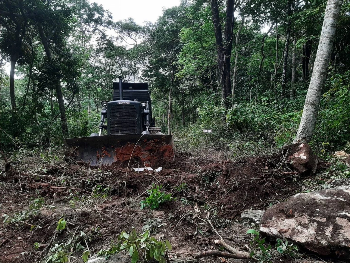 "กองทัพ" ส่งทหารช่างเคลียร์ "ทุ่นระเบิด" เก็บหลักฐานเพิ่ม พื้นที่ชายแดน "ไทย-กัมพูชา"