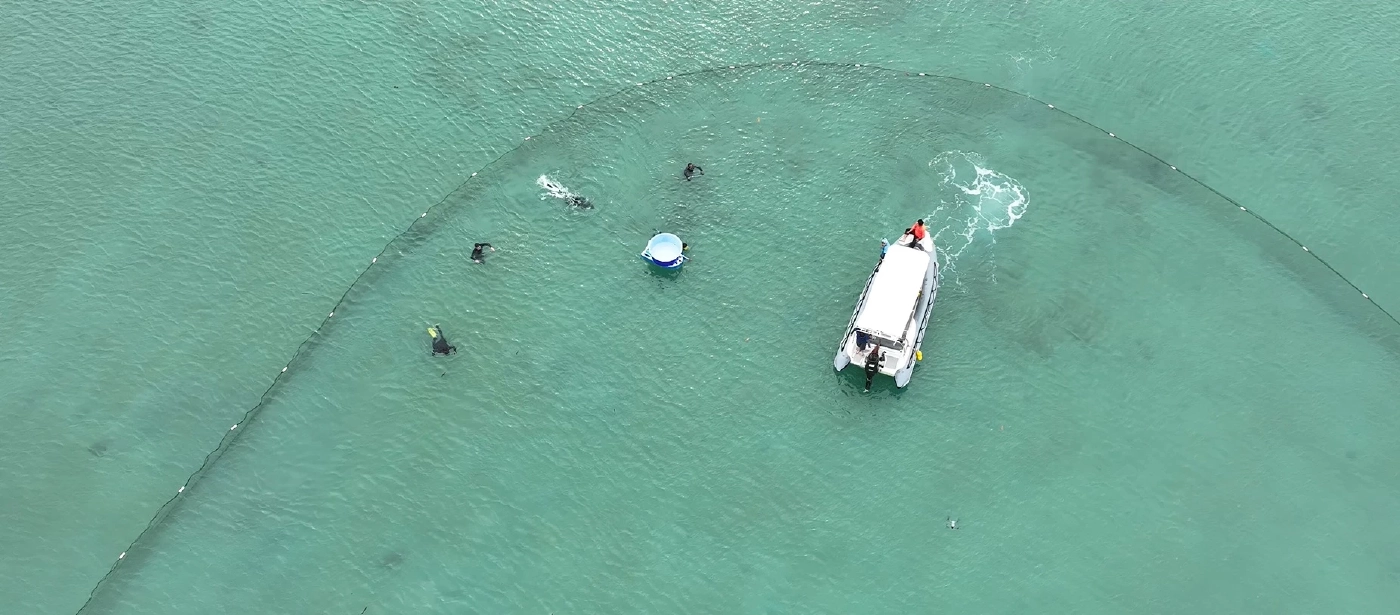 กรมทะเล ร่วมเครือข่ายอนุรักษ์ ปล่อยเต่าเป้แดง คืนสู่ธรรมชาติ