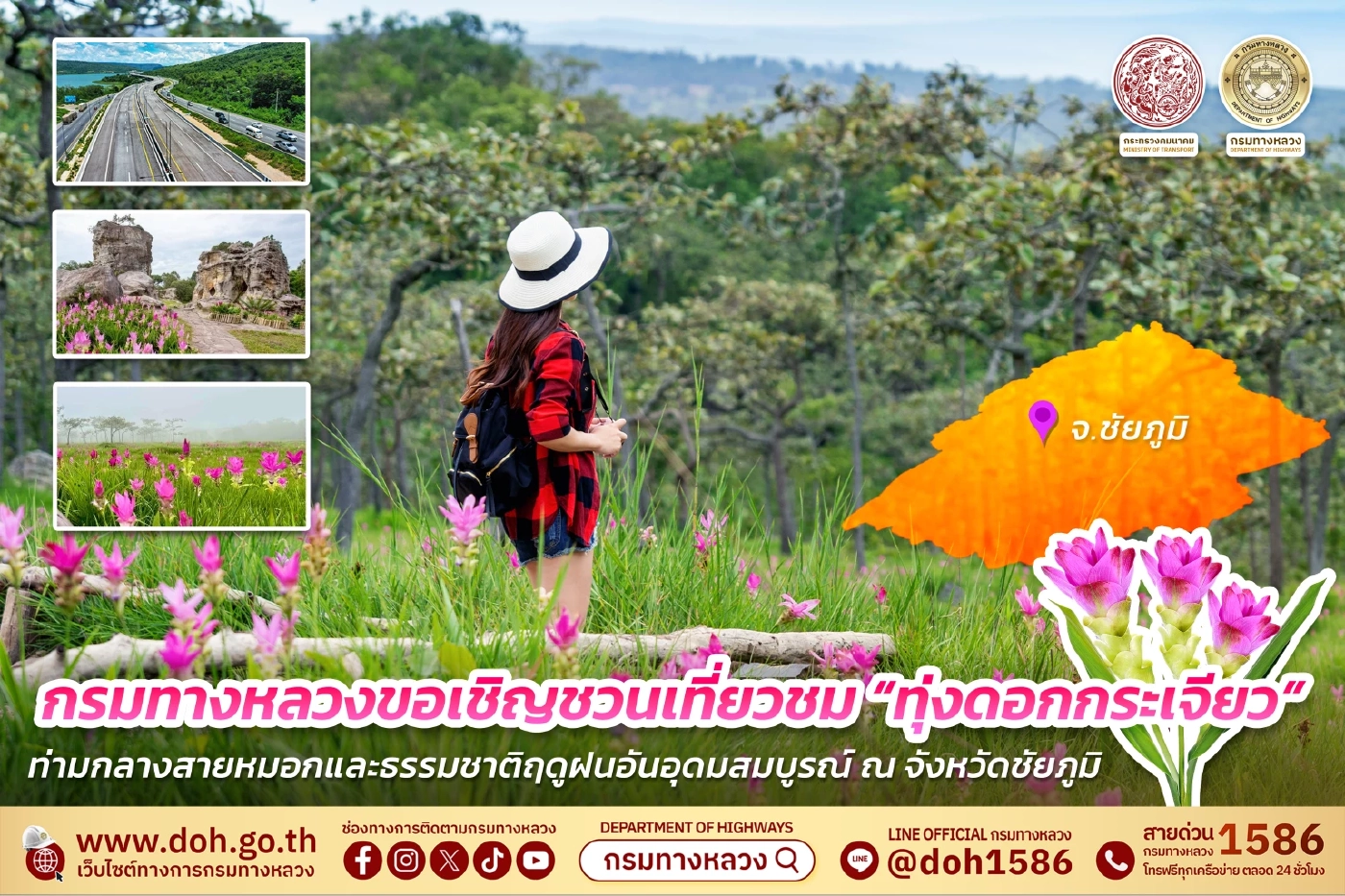 ทางหลวงพาเที่ยวชม 'ทุ่งดอกกระเจียว' มหัศจรรย์ธรรมชาติแห่งฤดูฝน