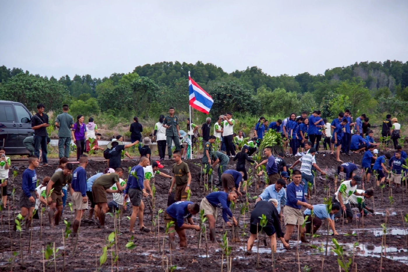 ทส.ชวนคนไทยรวมพลังฟื้นฟูป่าชายเลน "วันป่าชายเลนโลก"