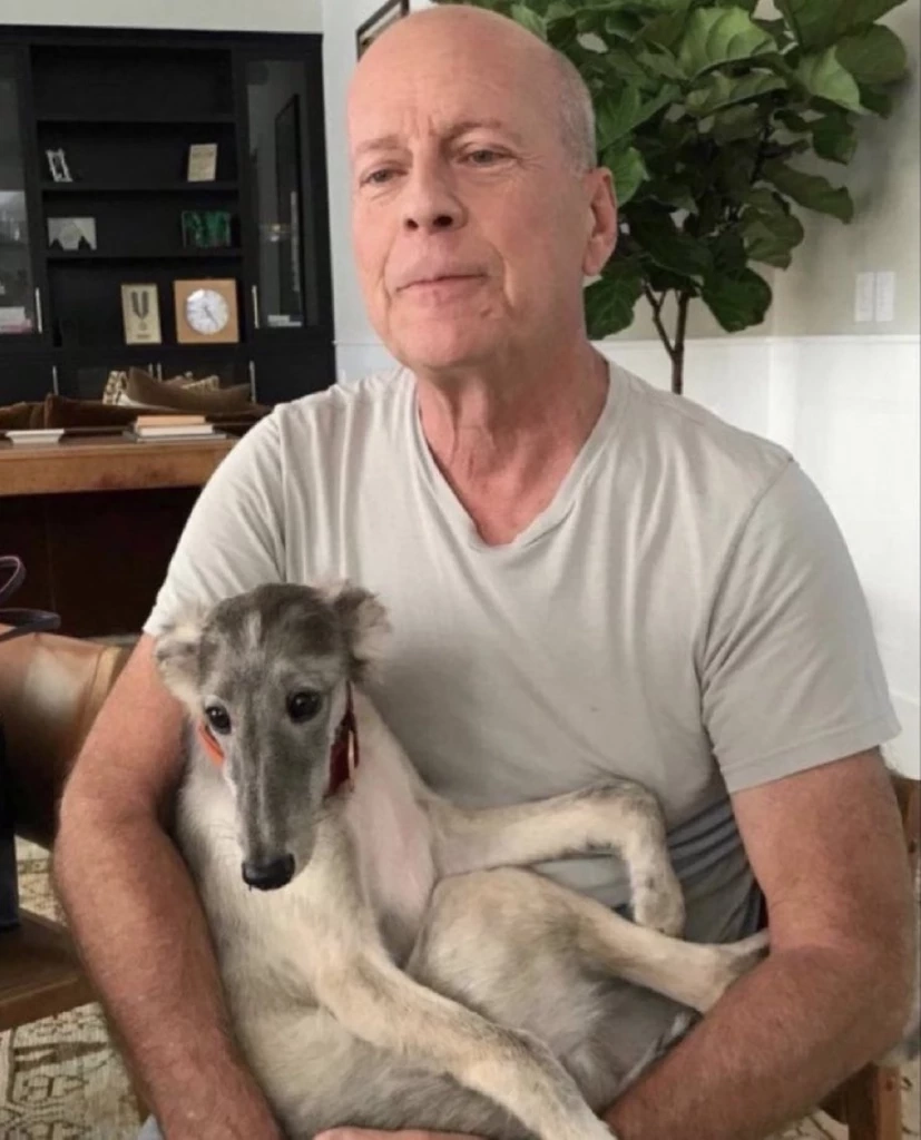 บรูซ วิลลิส พูด อ่าน เดินไม่ได้อีกต่อไป