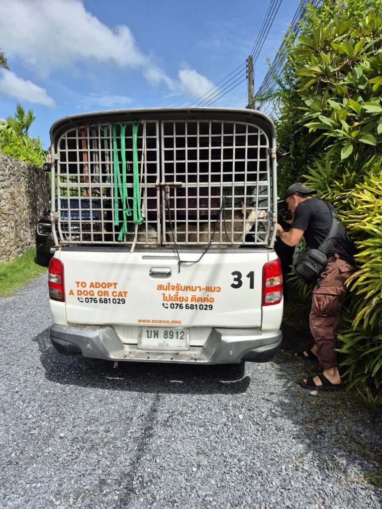 ใจร้าย! ฝรั่งฝังสุนัขทั้งเป็น โผล่หัวร้องขอความช่วยเหลือ