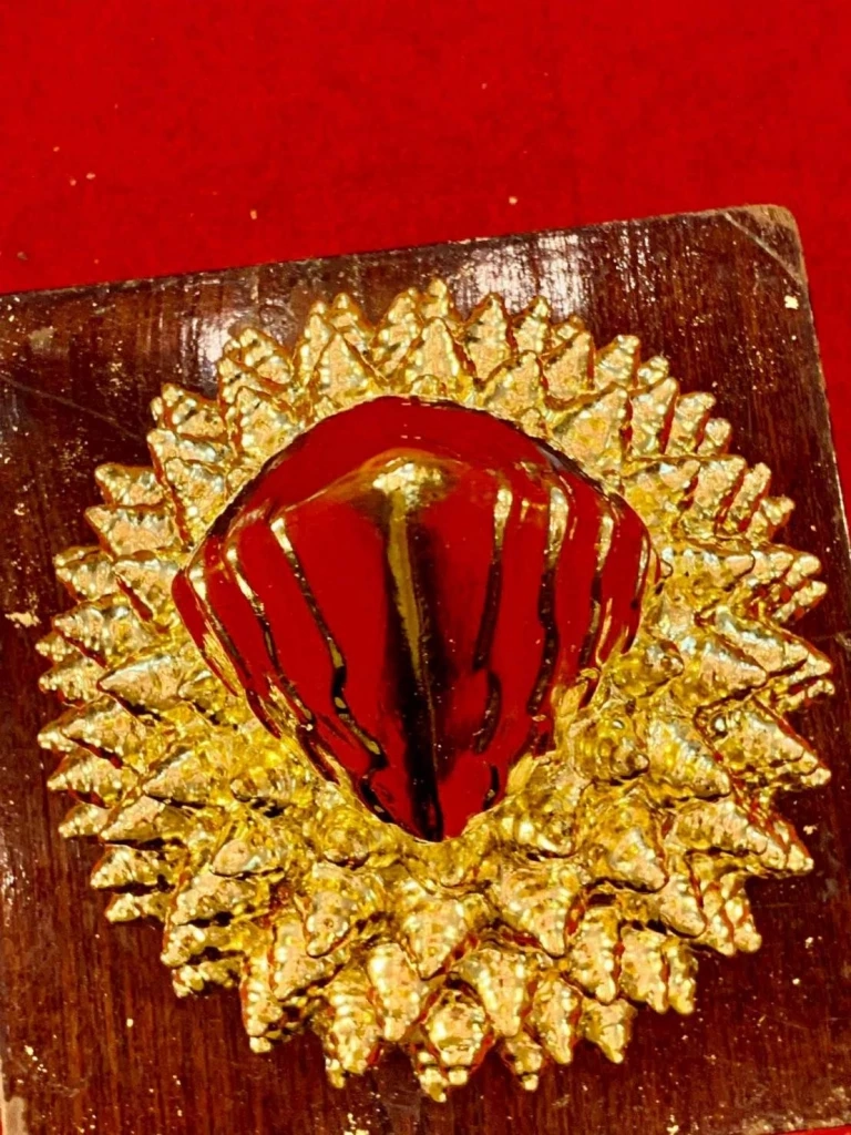 ร้อง “ทิดวิรัช” แอบบูรณะหลวงพ่อเพชร ถามทอง-สร้อยสังวาลย์ อยู่ไหน