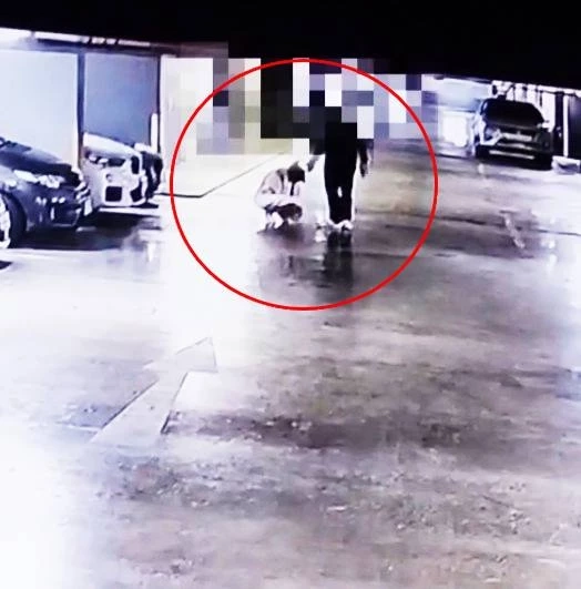 “อดีตนักข่าวสาว” แฉ "สว." ลวนลาม ยื่นสอบ "จริยธรรม สว." ข้อหา "ล่วงละเมิด"