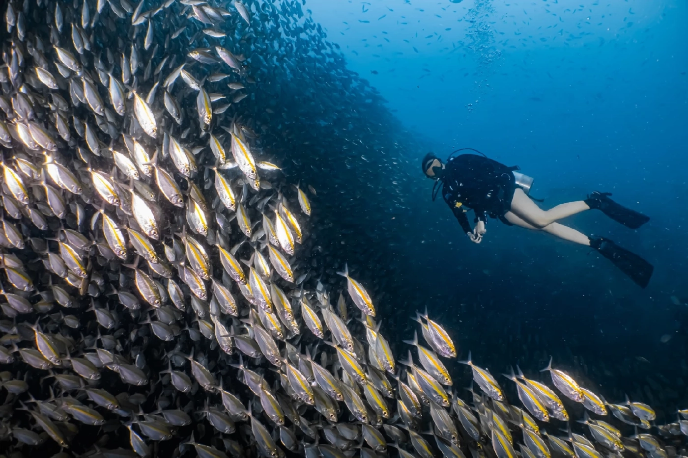 'จีน - มาเลเซีย - เกาหลีใต้' ครองตำแหน่งแชมป์เยือนไทยมากสุด