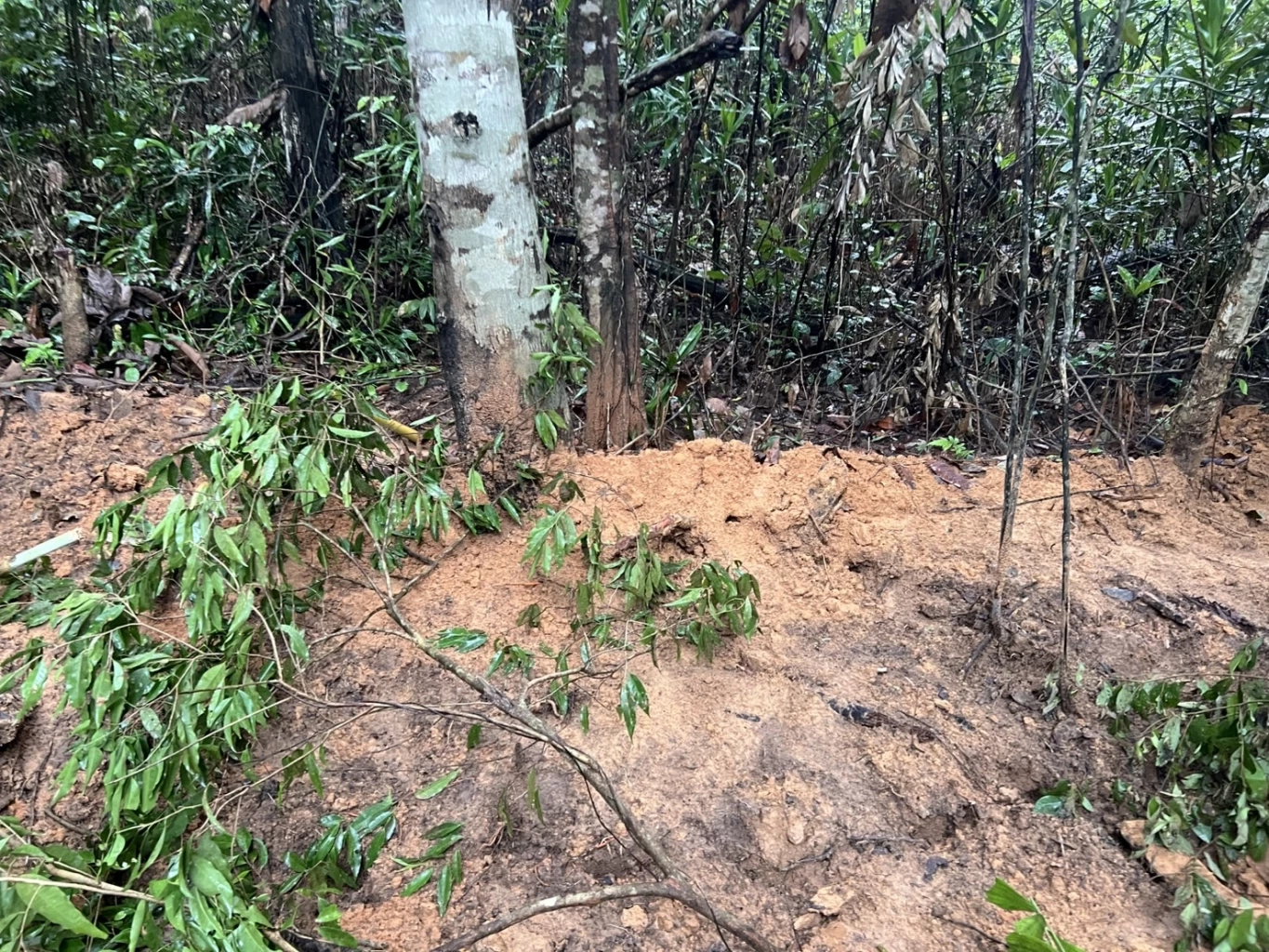 TMAC แถลงการณ์ประณาม-เรียกร้องกัมพูชาหยุดขวาง กู้ทุ่นสังหาร