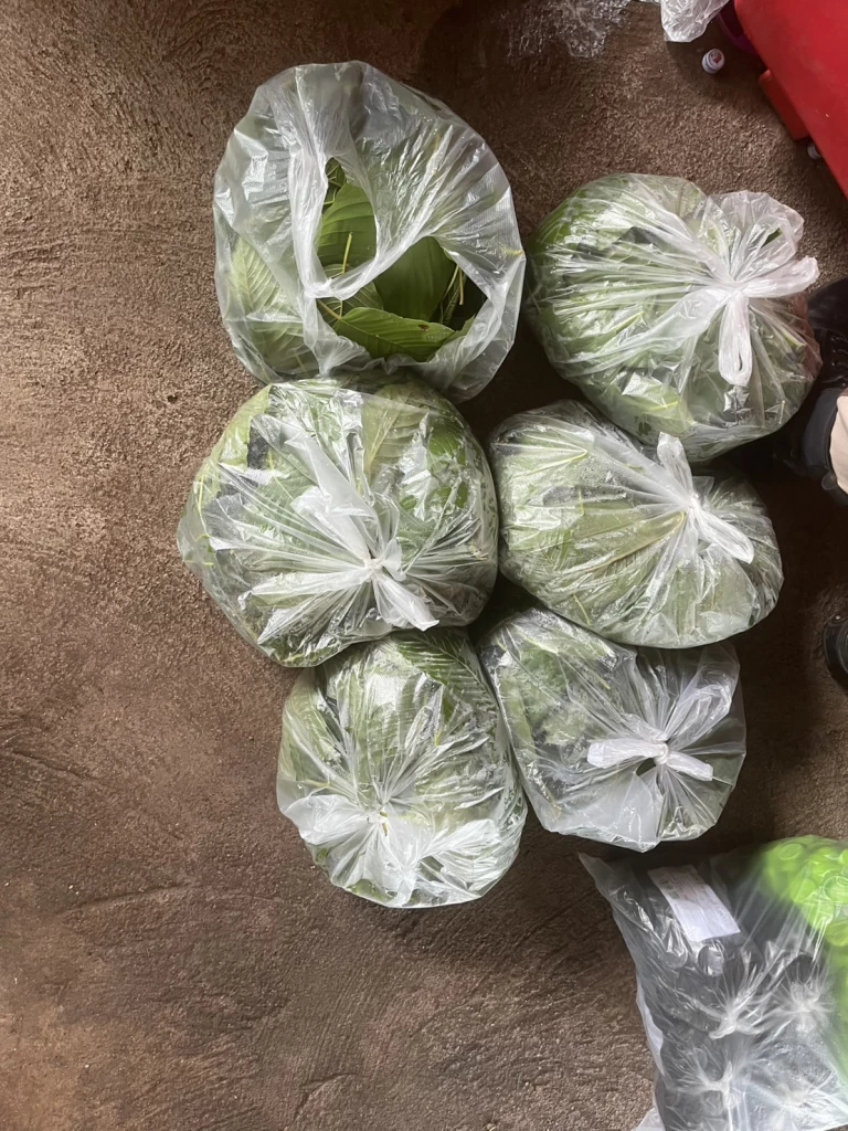 “ทวี” ลุยสกัด “กัญชา - กระท่อม” ระบาดหนัก