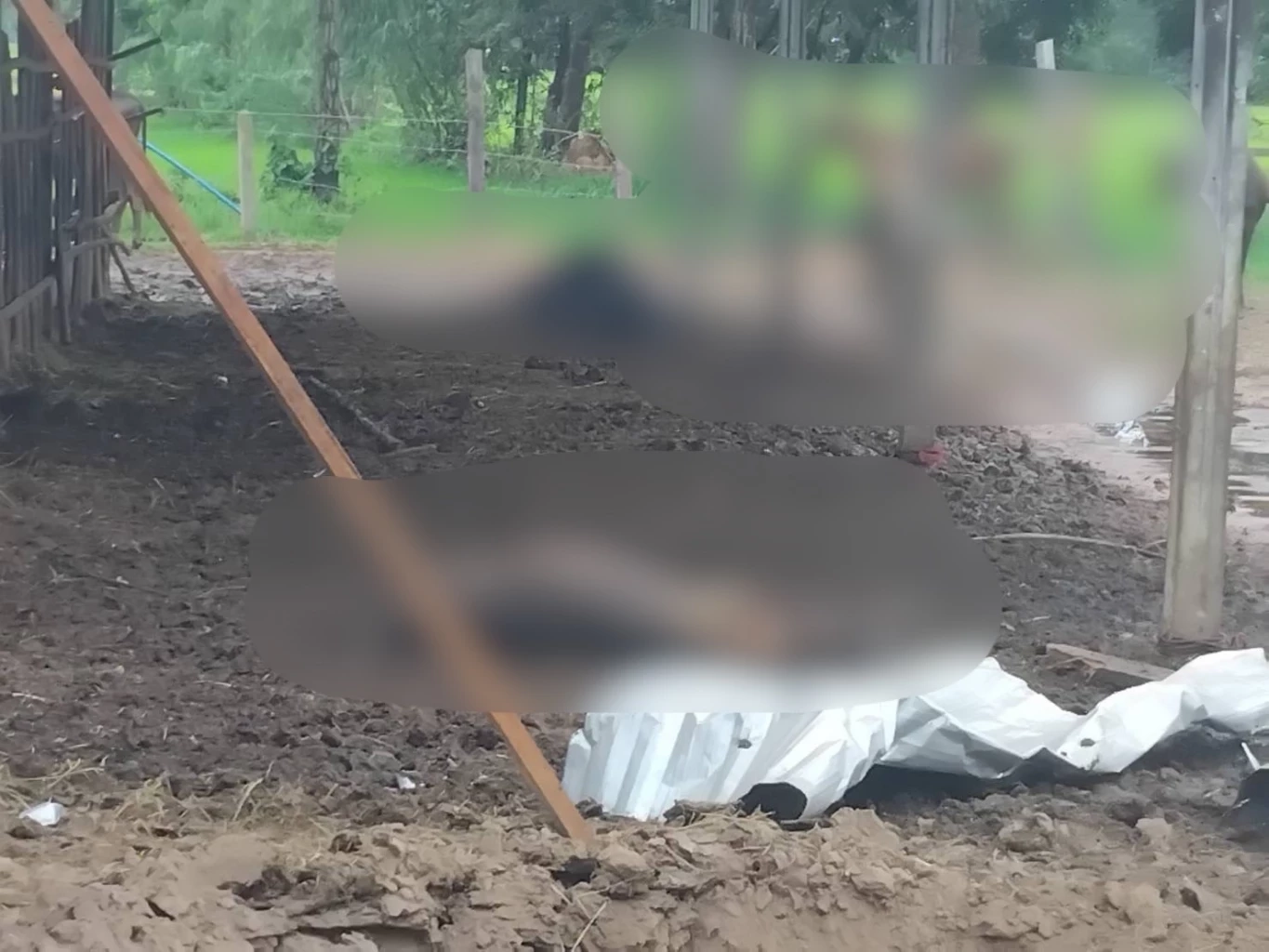 ตาเมือนธมโดนแล้ว! กัมพูชาถล่ม BM-21 พร้อมบ้านเรือนนับ 10 ลูก