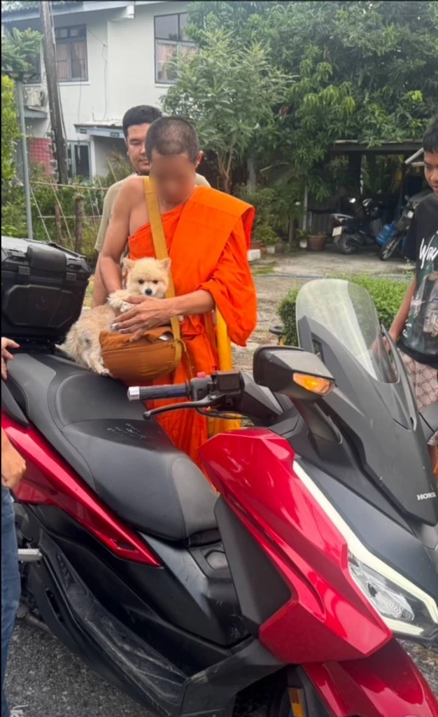 อึ้ง! รวบพระอาจารย์คนดังคาบาตร บงการสั่งยานรกขายในวัดและชุมนุม