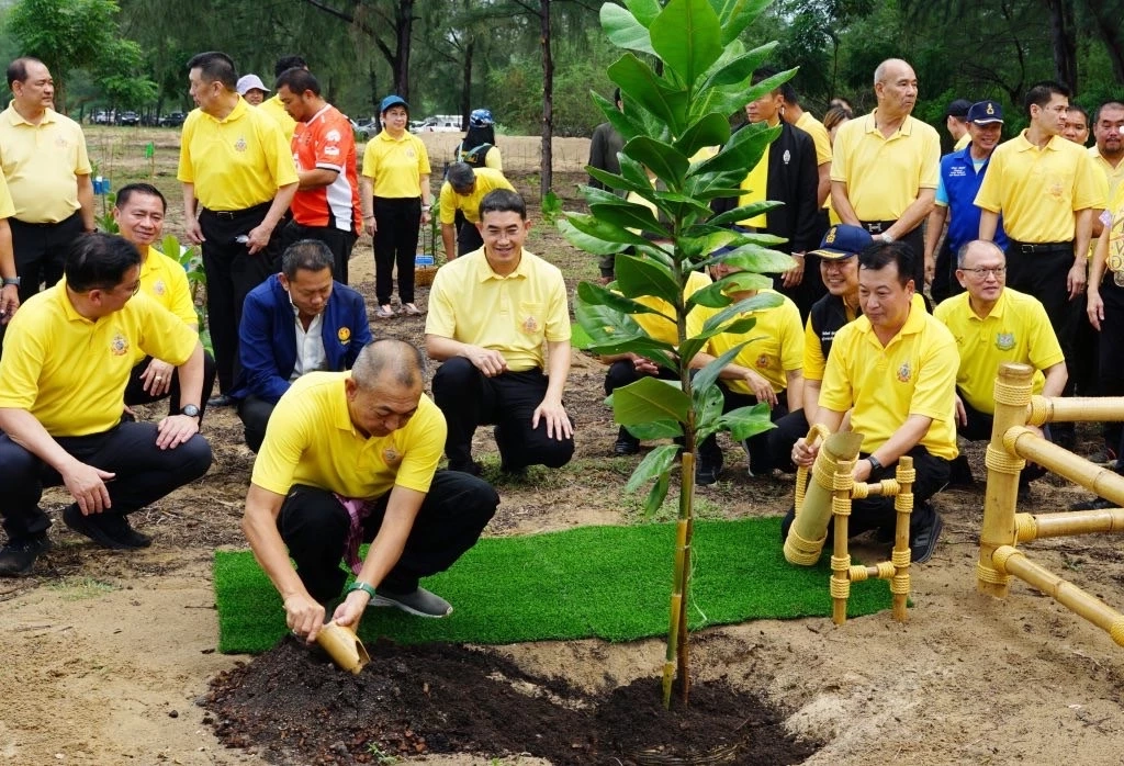 ทส.ชวนคนไทยรวมพลังฟื้นฟูป่าชายเลน "วันป่าชายเลนโลก"
