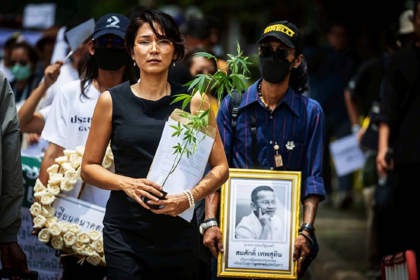 “เครือข่ายกัญชา” ประกาศยื่นถอดถอน “สมศักดิ์” ต่อ ป.ป.ช. 29 ก.ค.นี้ จี้แก้ประกาศ สธ.เอื้อนายทุน