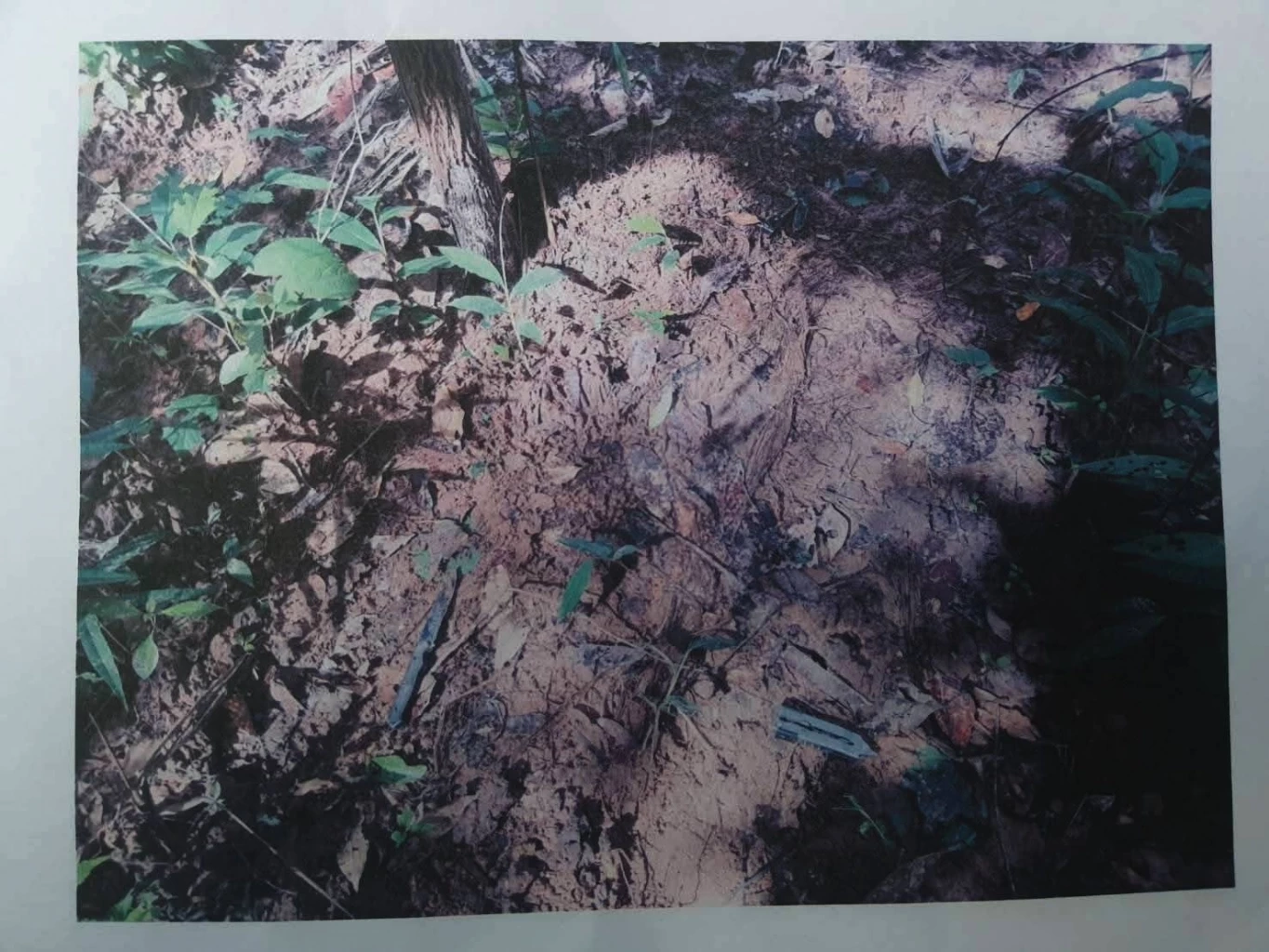 ไทยรุกกัมพูชา! ทำความรู้จัก “อนุสัญญาออตตาวา”