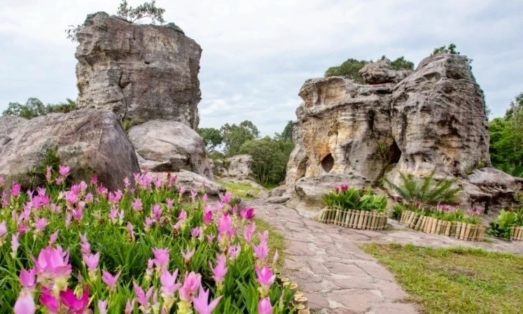 ทางหลวงพาเที่ยวชม 'ทุ่งดอกกระเจียว' มหัศจรรย์ธรรมชาติแห่งฤดูฝน