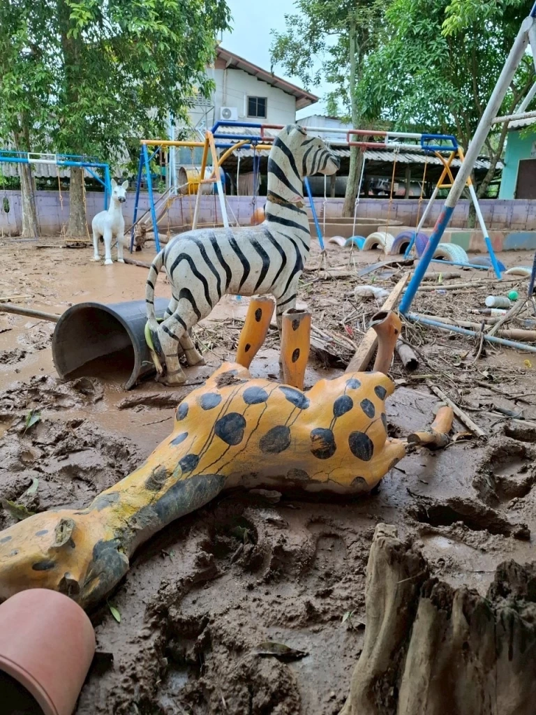 "ทัพอากาศ" ลุยฟื้นฟู "โรงเรียนบ้านแม่เปา" หลังถูกน้ำท่วมครั้งใหญ่