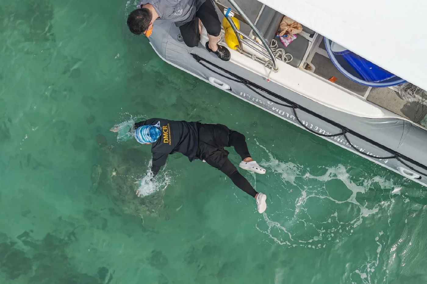 กรมทะเล ร่วมเครือข่ายอนุรักษ์ ปล่อยเต่าเป้แดง คืนสู่ธรรมชาติ