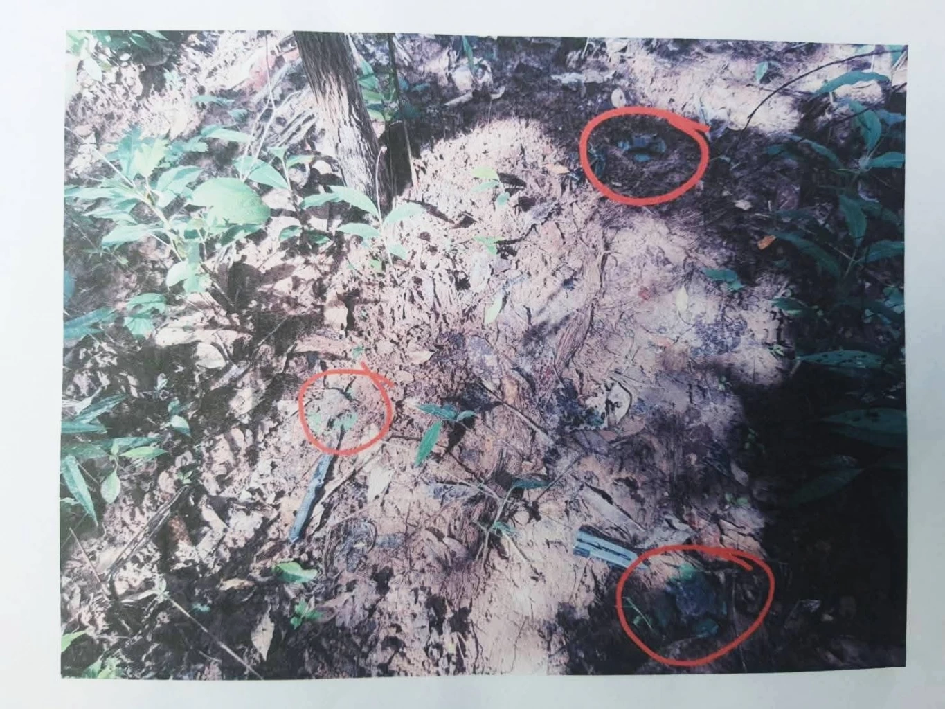 ไทยรุกกัมพูชา! ทำความรู้จัก “อนุสัญญาออตตาวา”