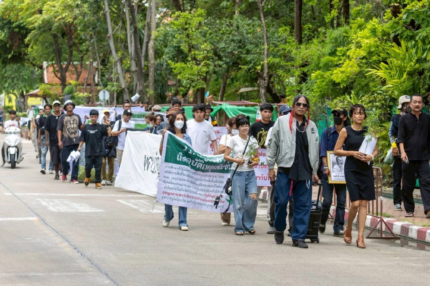 “เครือข่ายกัญชา” ประกาศยื่นถอดถอน “สมศักดิ์” ต่อ ป.ป.ช. 29 ก.ค.นี้ จี้แก้ประกาศ สธ.เอื้อนายทุน