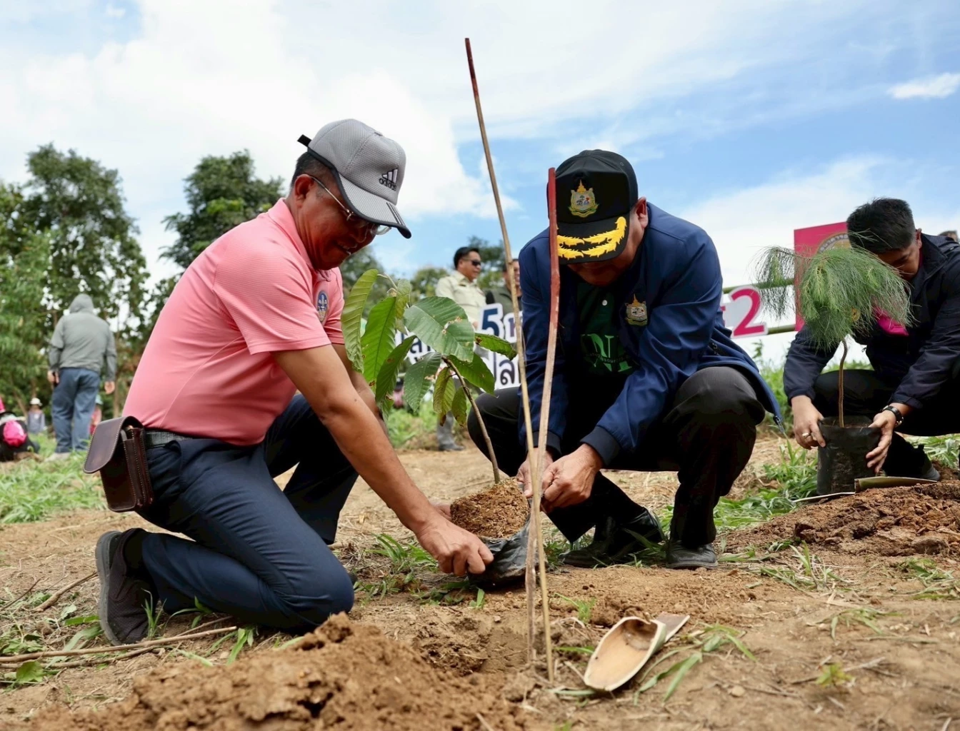 ออมสิน ขยายผลปลูกป่าอีก 2,500 ไร่ จ.เลย ตามแผน Net Zero 2050