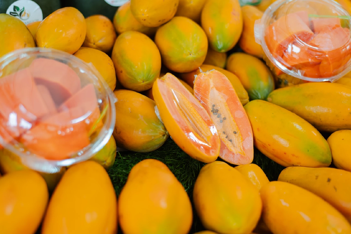 อ.ต.ก.บุกตลาดตะวันออกกลางโชว์ศักยภาพผลไม้เกษตรกรไทย