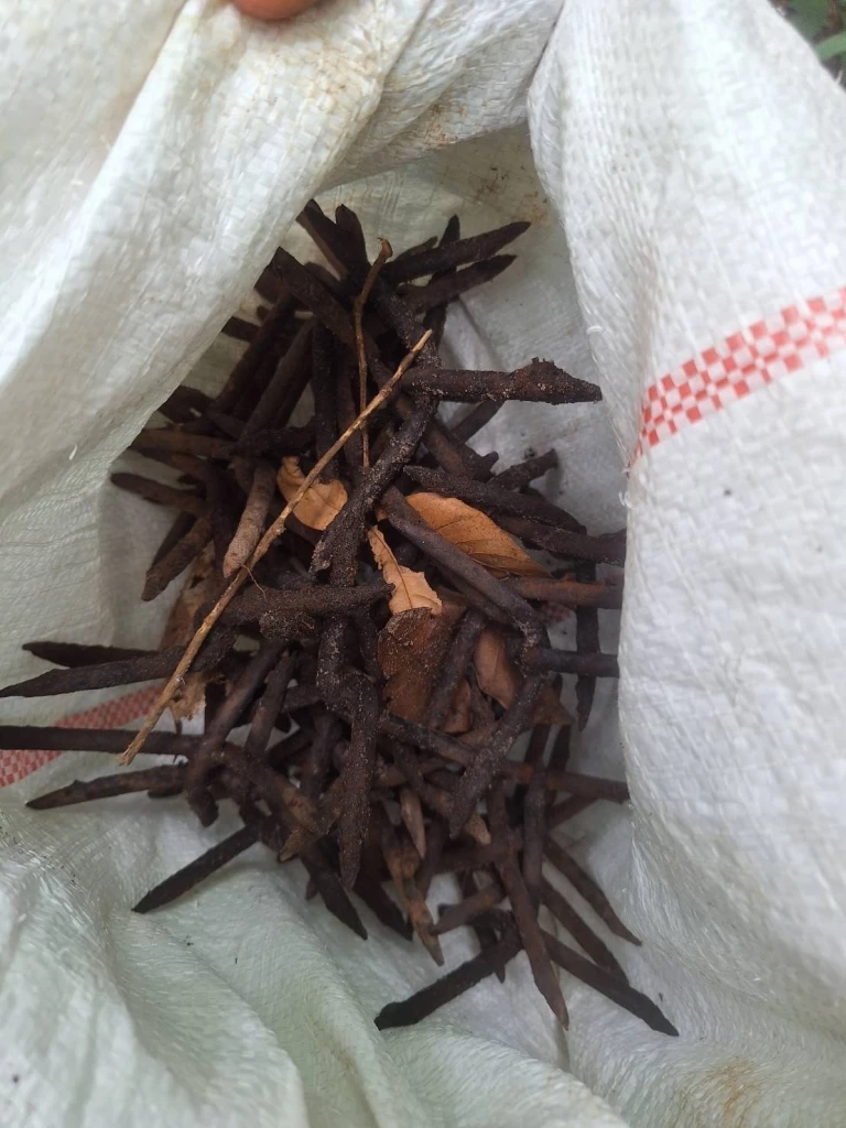 เจออีก ทุ่นระเบิด PMN-2 กัมพูชา ลอบวางใกล้เนิน 350 พร้อมตะปูเรือใบ