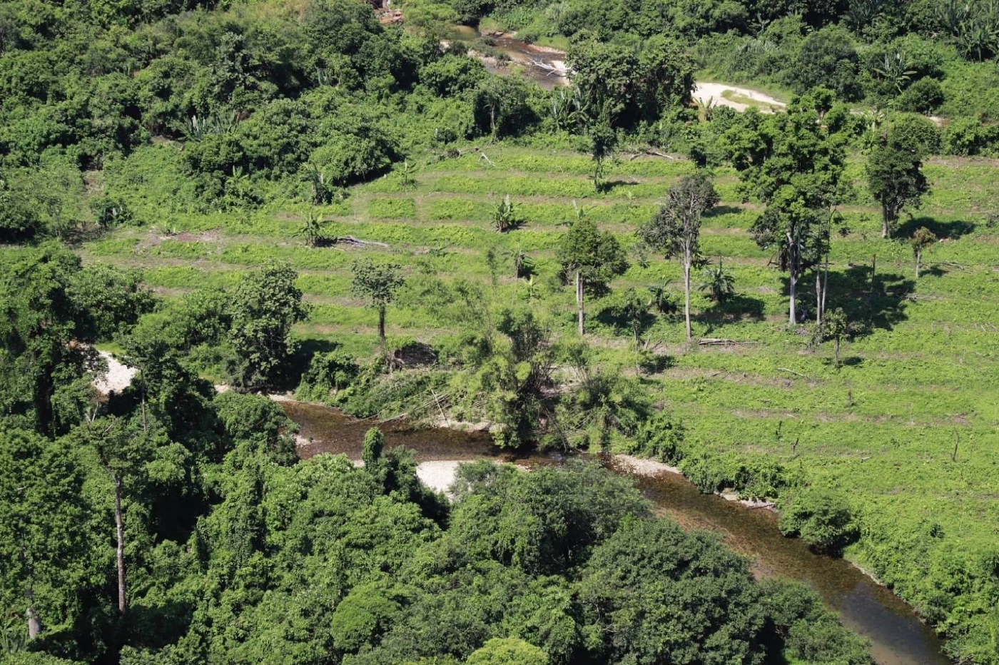 "มทภ.4" บินสำรวจแนวชายแดนนราธิวาสพบ  "ผู้ก่อเหตุรุนแรงขนอาวุธข้ามแดน"