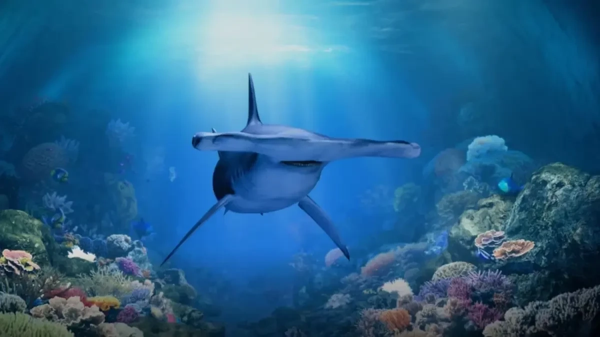 IR สิงคโปร์ มีพิพิธภัณฑ์สัตว์น้ำที่เคยใหญ่ที่สุดในโลก!