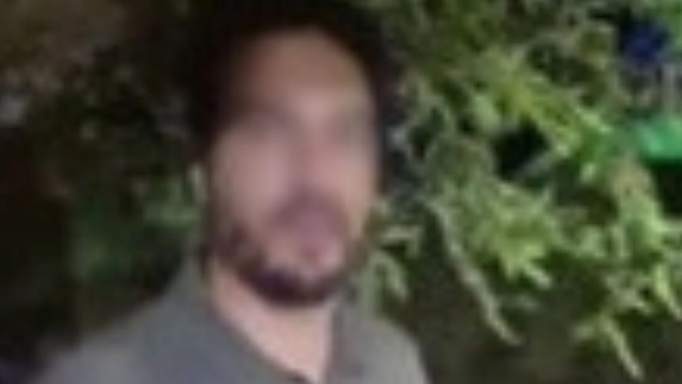 ไมเคิล อัลฟาโร