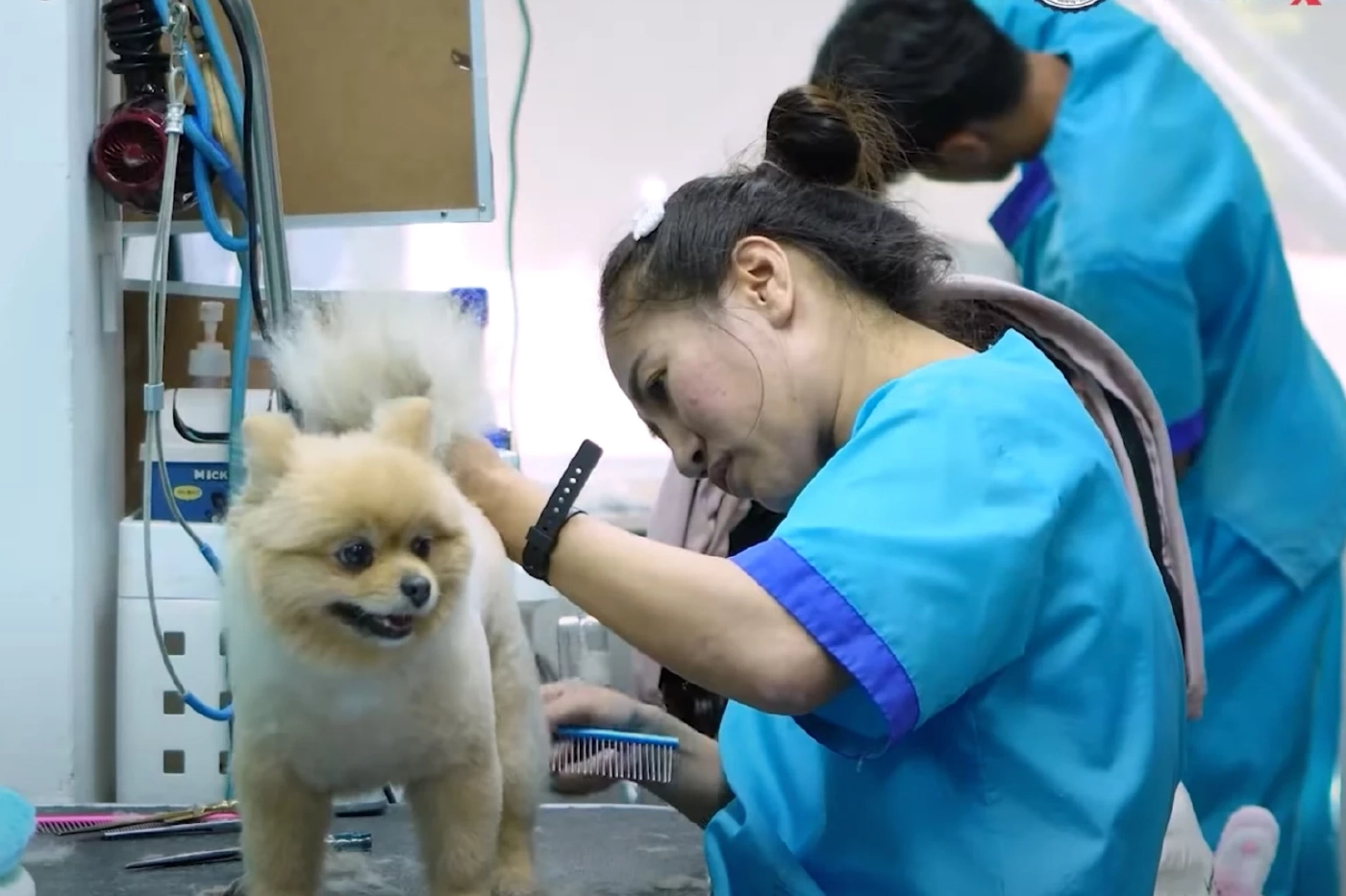 สคช.เปิดตัว 4 มาตรฐานอาชีพใหม่ ตอบโจทย์เศรษฐกิจดิจิทัล