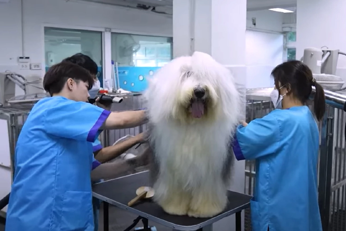 สคช.เปิดตัว 4 มาตรฐานอาชีพใหม่ ตอบโจทย์เศรษฐกิจดิจิทัล