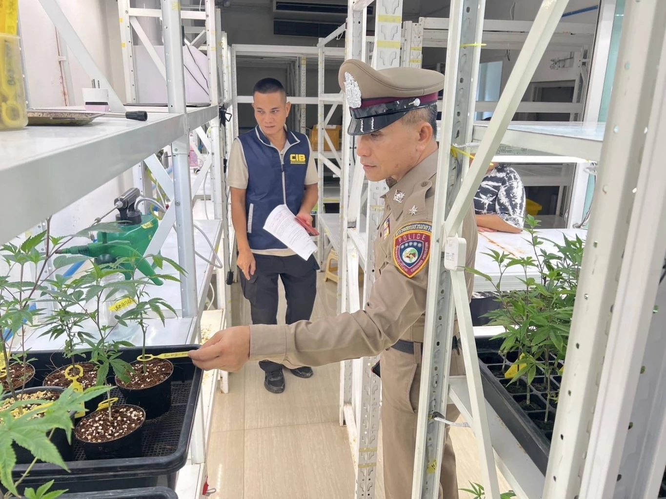 แทบอ้วก! ดัดแปลงส้วมเป็นห้องแลปทำ "เยลลี่-คุกกี้ผสมกัญชา"