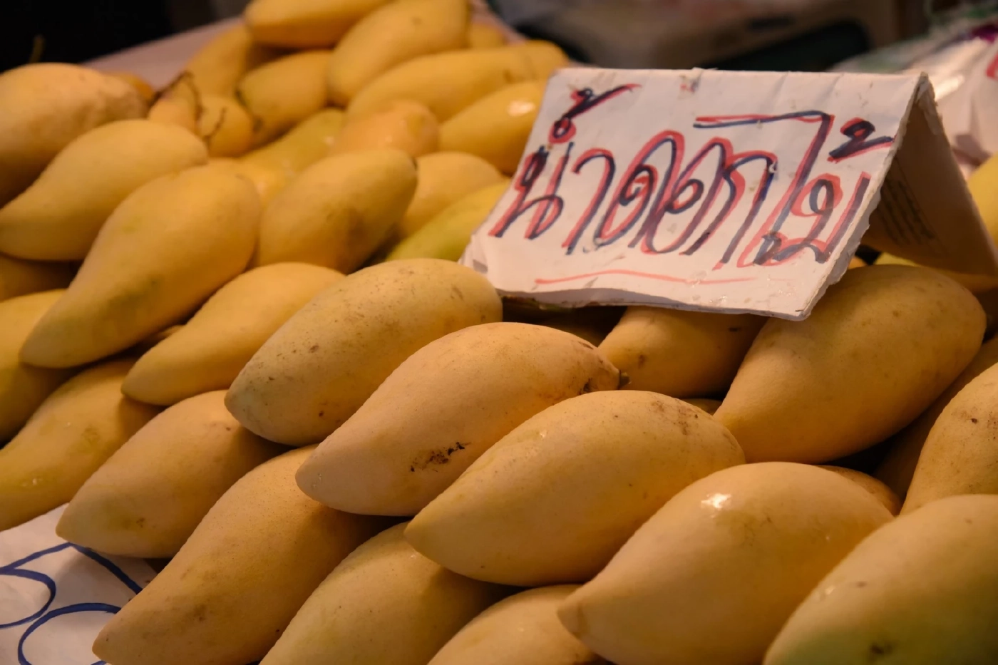 อ.ต.ก.บุกตลาดตะวันออกกลางโชว์ศักยภาพผลไม้เกษตรกรไทย