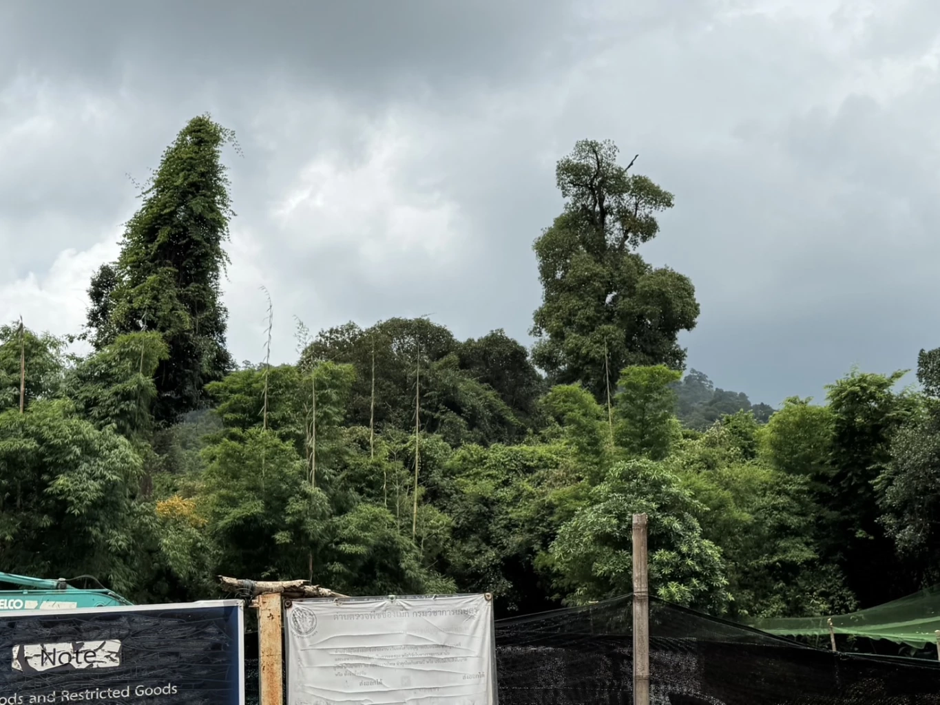 ด้านซ้ายของอนุสาวรีย์ตาอม อยู่บนลานด้านหลังเป็นหน้าผา ด้านซ้ายขวาเป็นภูเขาเรียกเนิน 677 หรือ เนิน 600 มีทหารกัมพูชาขึ้นไปอยู่ ถึงเรียกว่าจุดสูงข่ม ที่ทหารไทยเข้าไปยึดไม่ได้