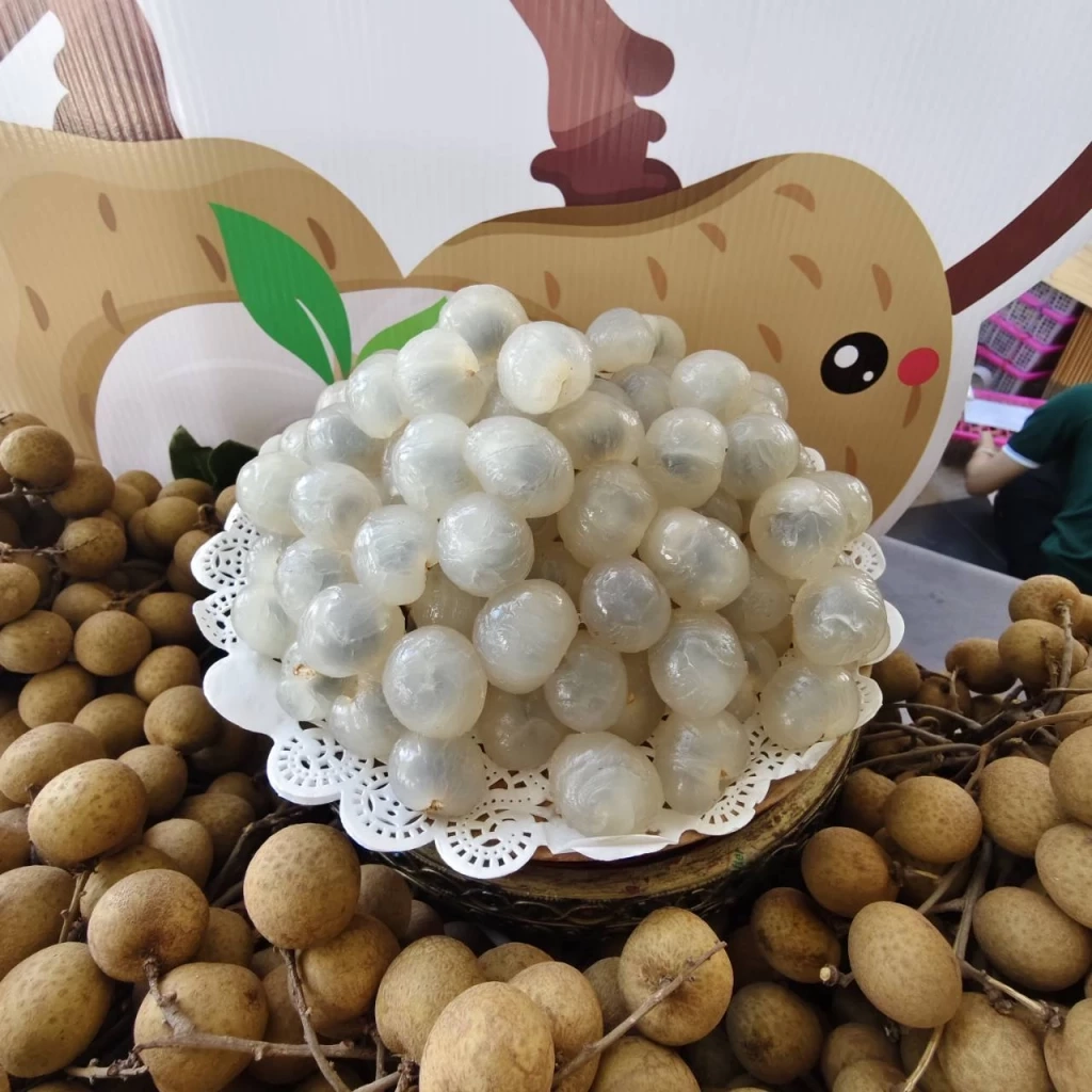 อ.ต.ก.บุกตลาดตะวันออกกลางโชว์ศักยภาพผลไม้เกษตรกรไทย