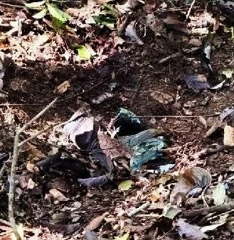 เปิดภาพจุดเกิดเหตุ "ทหารพรานเหยียบกับระเบิด"