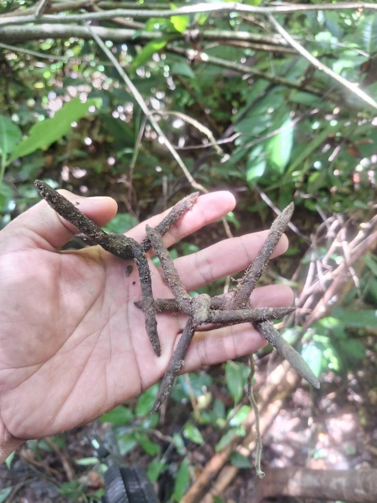 เจออีก ทุ่นระเบิด PMN-2 กัมพูชา ลอบวางใกล้เนิน 350 พร้อมตะปูเรือใบ