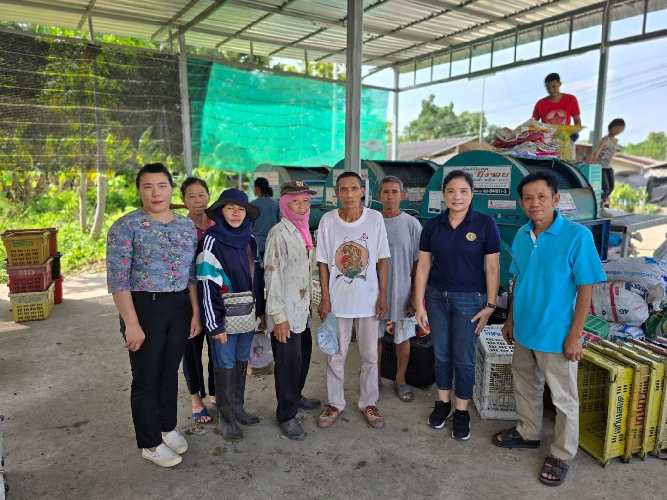 กรมการค้าภายใน เร่งเปิดจุดร่อนรับซื้อลำไยรูดร่วงช่วยเกษตรกร