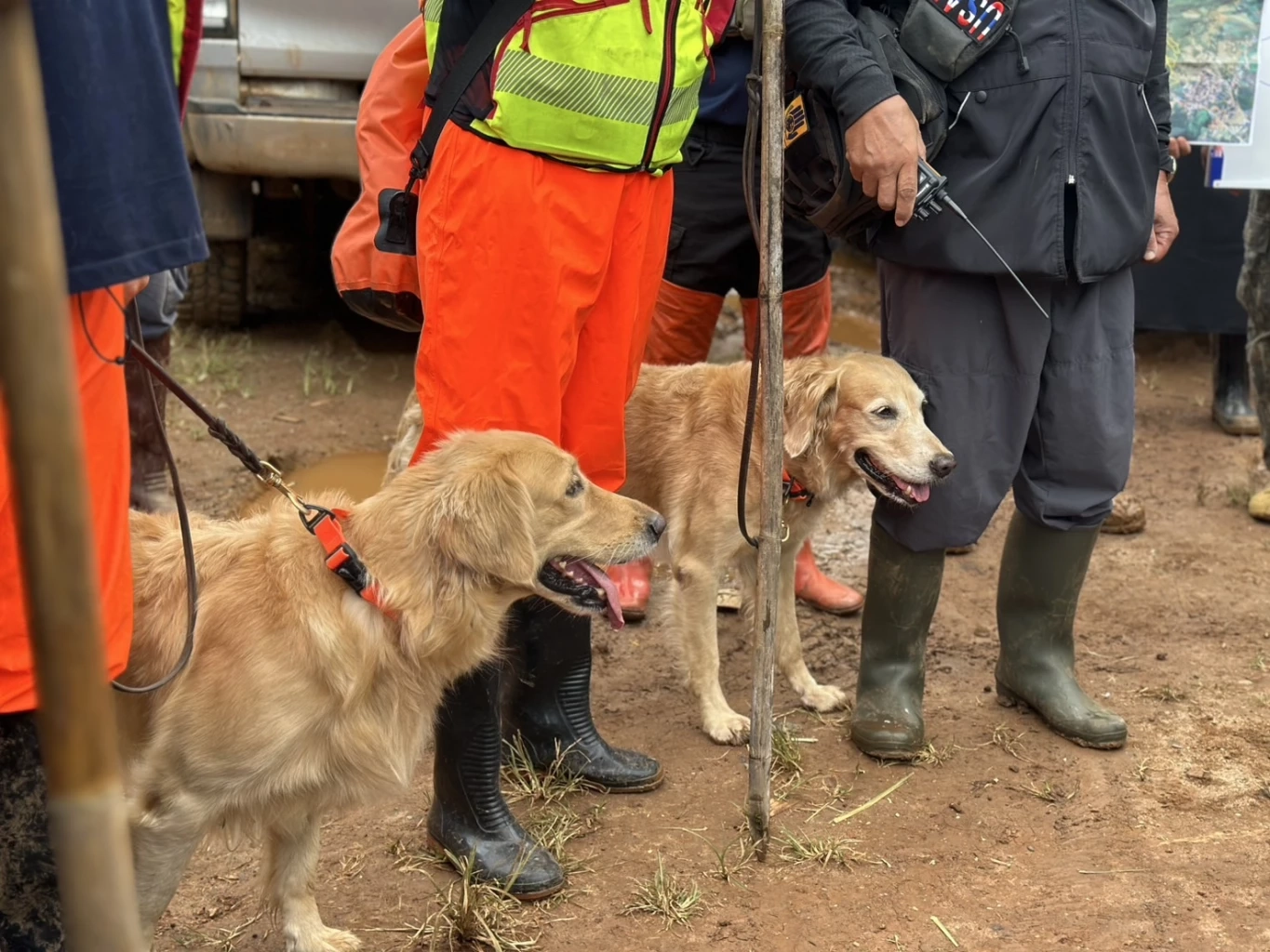 ส่ง สุนัข K9 USAR ลุยค้นหาผู้สูญหายจากน้ำป่าไหลหลาก-ดินถล่ม