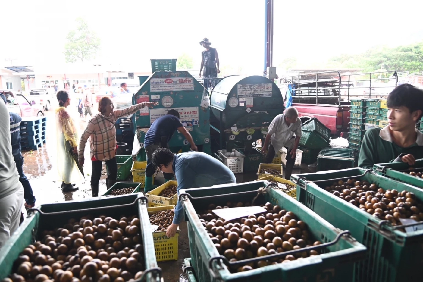 รมว.พาณิชย์ 'จตุพร' ลุยช่วยเกษตรกร 'ลดต้นทุน - พยุงราคาผลผลิต'