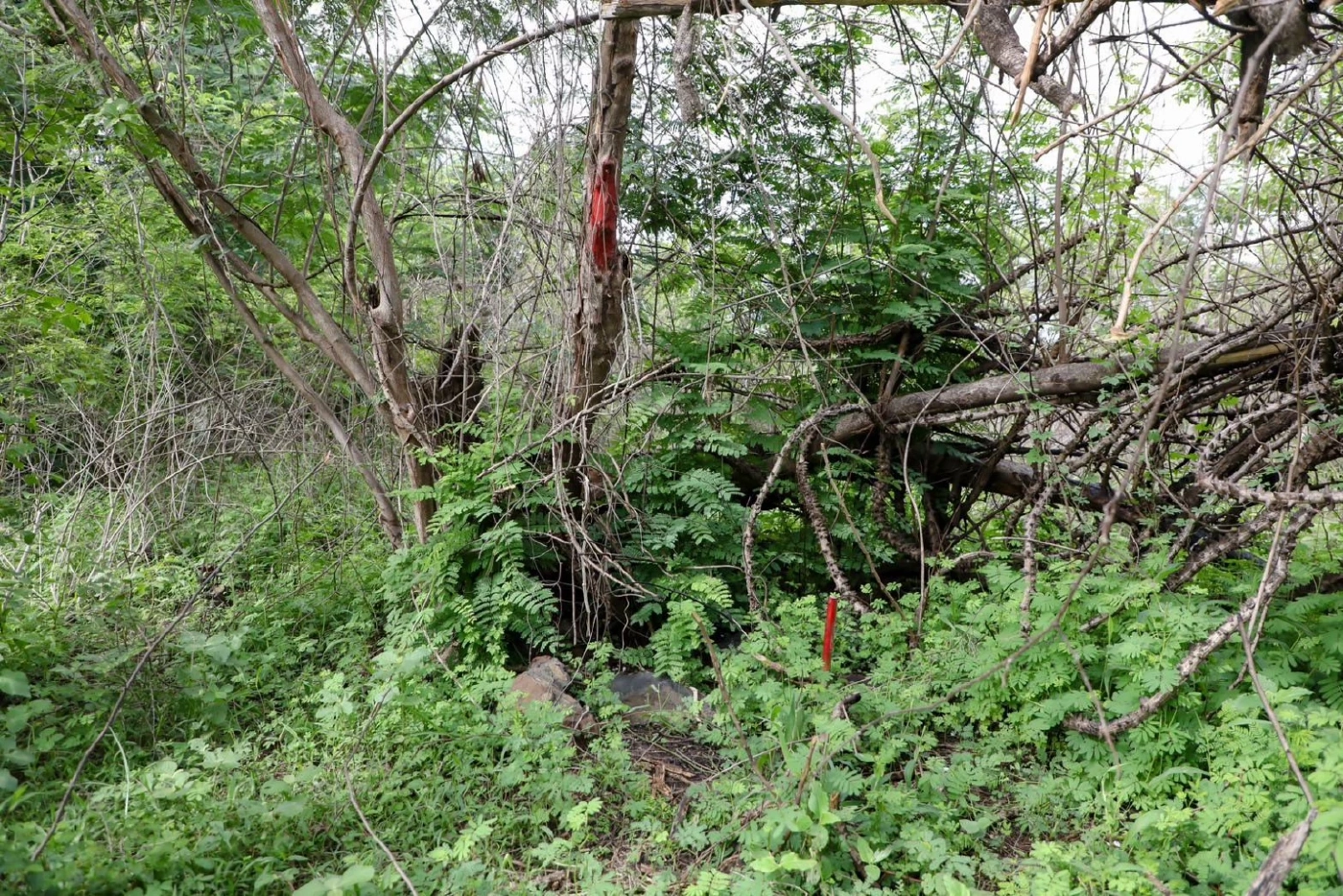 รฟท. เคลียร์ที่ดิน 'เขากระโดง' เปิดทาง 'ทำสัญญาเช่า - ย้ายออก'