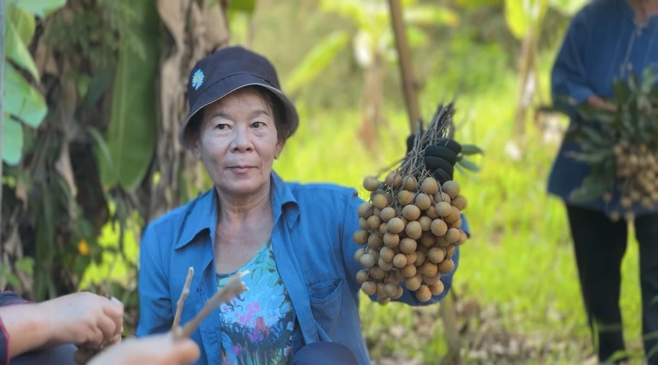 เกษตรกรเชียงใหม่ ขอบคุณ “ธนาคารที่ดิน” ช่วยเหลือให้มีที่ดินมีคุณภาพชีวิตดีขึ้น