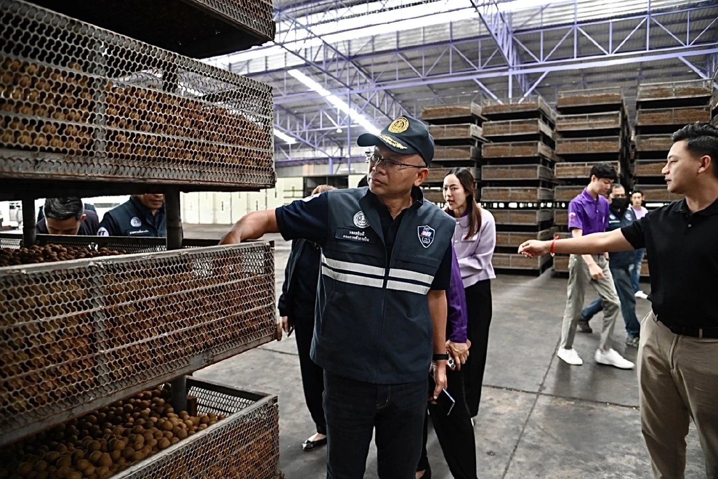 พาณิชย์นำผู้ประกอบการซื้อลำไยแก้ปัญหาล้งซื้อไม่ทัน