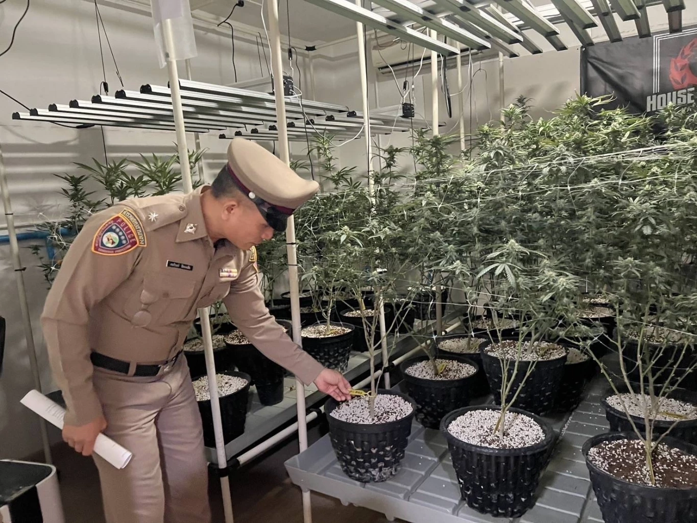 แทบอ้วก! ดัดแปลงส้วมเป็นห้องแลปทำ "เยลลี่-คุกกี้ผสมกัญชา"