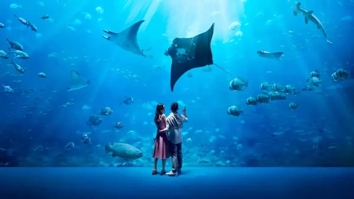 ‘Singapore Oceanarium’