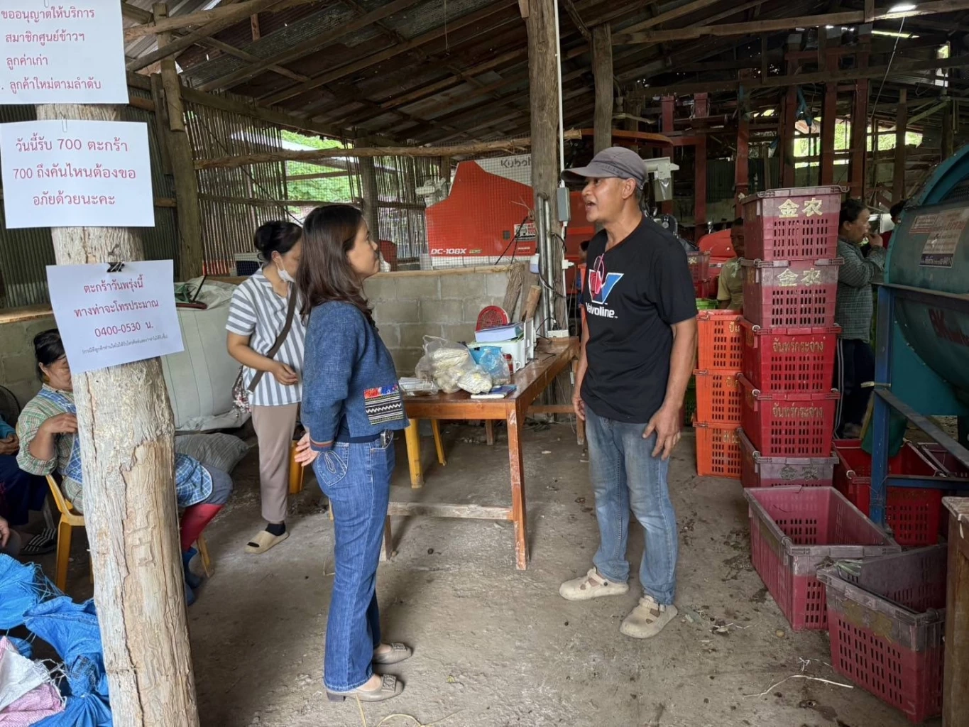 กรมการค้าภายใน เร่งเปิดจุดร่อนรับซื้อลำไยรูดร่วงช่วยเกษตรกร