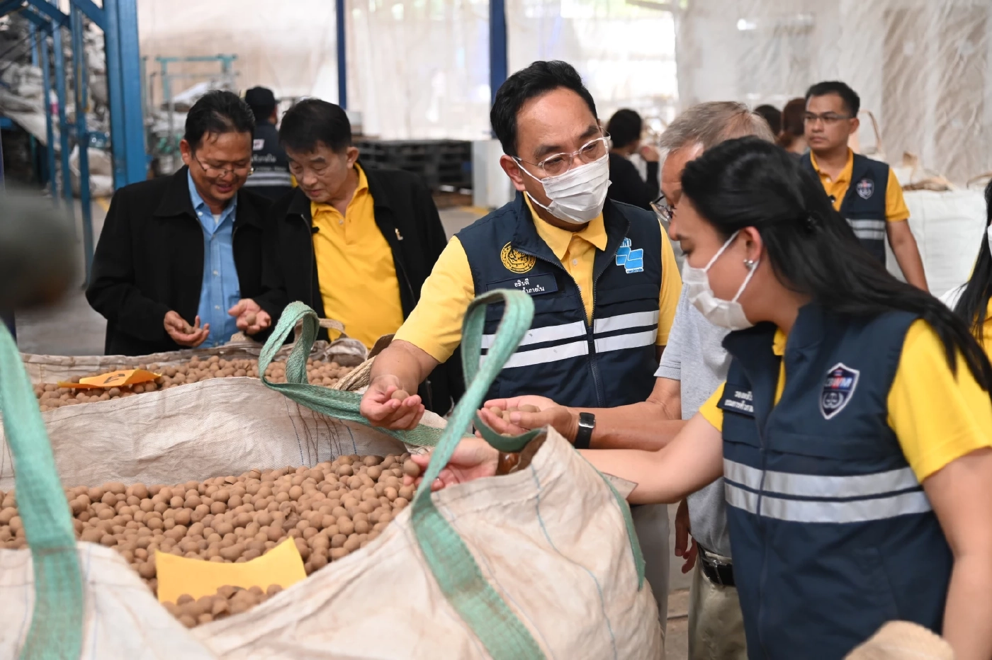 พาณิชย์เดินหน้าพยุงราคาลำไย ดึงโรงอบรับซื้อ 100,000 ตัน