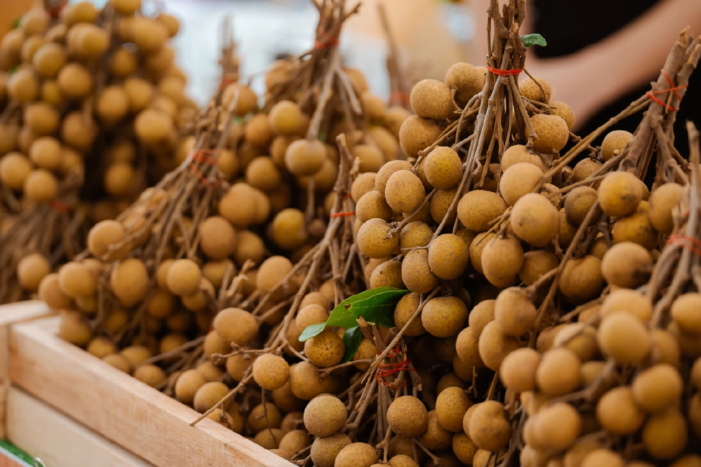 อ.ต.ก.บุกตลาดตะวันออกกลางโชว์ศักยภาพผลไม้เกษตรกรไทย