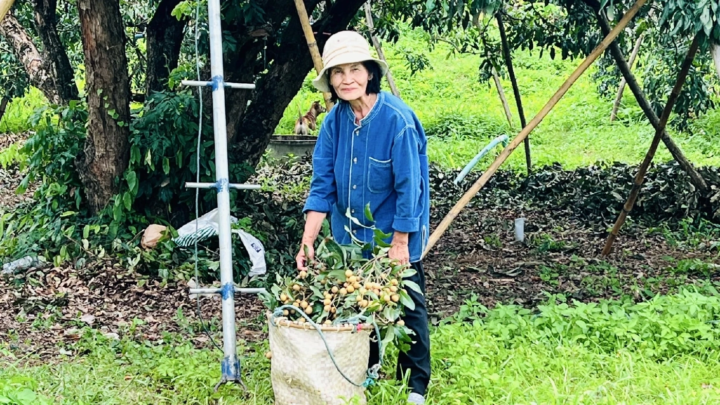 เกษตรกรเชียงใหม่ ขอบคุณ “ธนาคารที่ดิน” ช่วยเหลือให้มีที่ดินมีคุณภาพชีวิตดีขึ้น